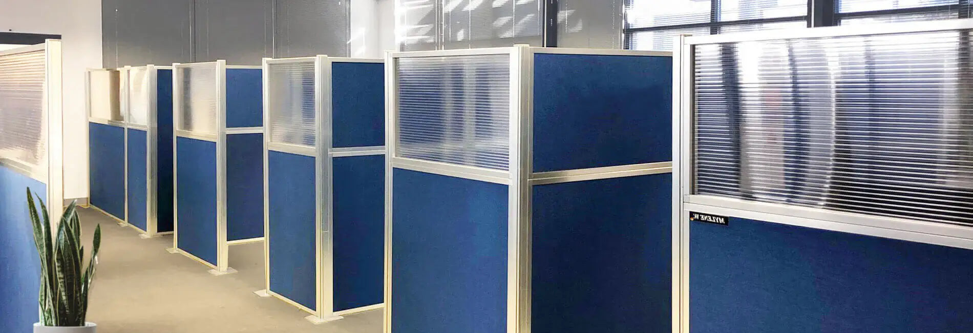 Blue office cubicles with glass partitions in a modern office setting.